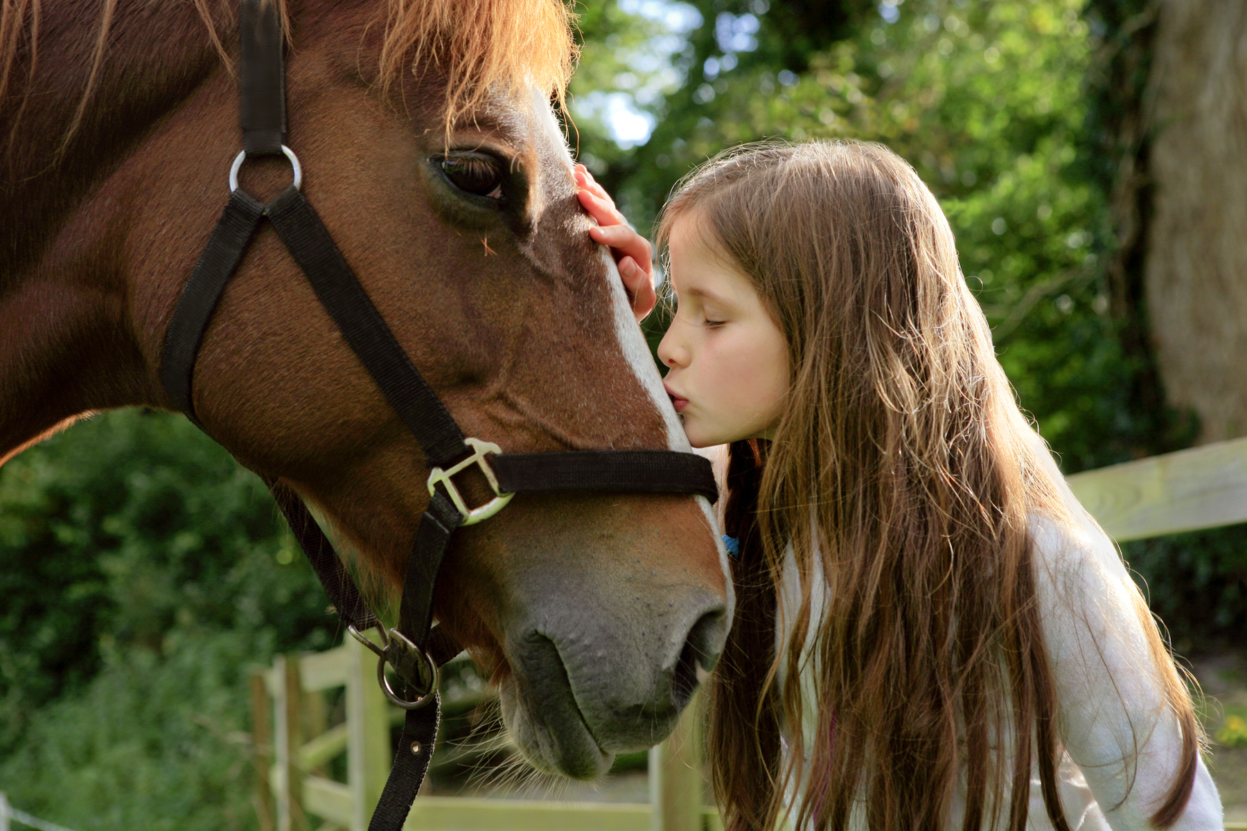 Petite fille embrasse son cheval