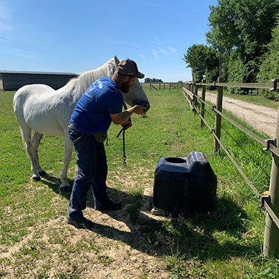 Installations pour chevaux au Relais de la Sbirée